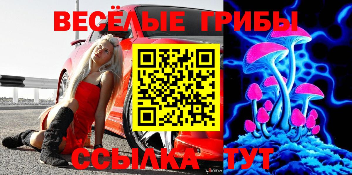 Октябрьский  Псилоцибиновые грибы GOLDEN TEACHER  Вход с VPN  Галлюциногенные грибы Psilocybine cubensis 